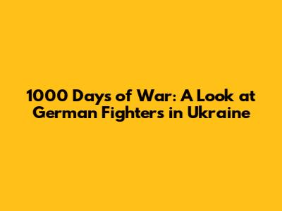 1000 Days of War: A Look at German Fighters in Ukraine