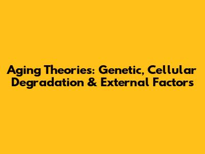 Aging Theories: Genetic, Cellular Degradation & External Factors
