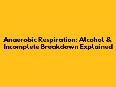 Anaerobic Respiration: Alcohol & Incomplete Breakdown Explained