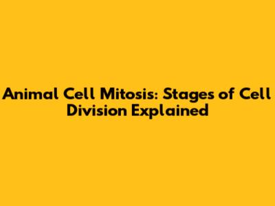 Animal Cell Mitosis: Stages of Cell Division Explained