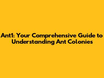Ant1: Your Comprehensive Guide to Understanding Ant Colonies