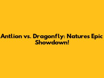 Antlion vs. Dragonfly: Nature's Epic Showdown!
