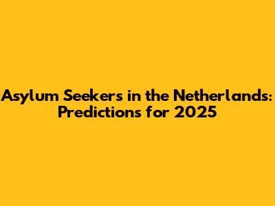 Asylum Seekers in the Netherlands: Predictions for 2025