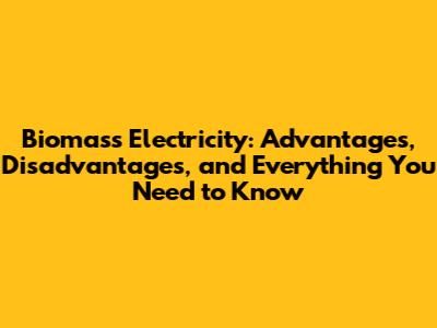 Biomass Electricity: Advantages, Disadvantages, and Everything You Need to Know