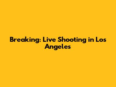 Breaking: Live Shooting in Los Angeles