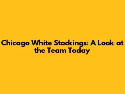 Chicago White Stockings: A Look at the Team Today