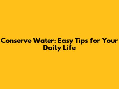 Conserve Water: Easy Tips for Your Daily Life