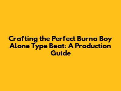 Crafting the Perfect Burna Boy 'Alone' Type Beat: A Production Guide