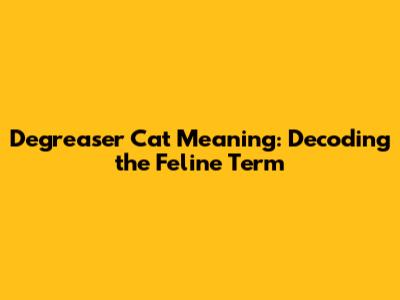 Degreaser Cat Meaning: Decoding the Feline Term