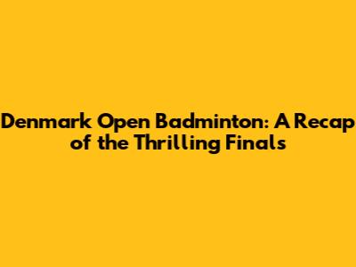 Denmark Open Badminton: A Recap of the Thrilling Finals