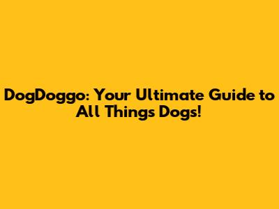 DogDoggo: Your Ultimate Guide to All Things Dogs!