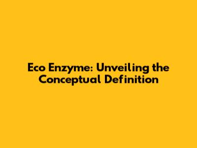 Eco Enzyme: Unveiling the Conceptual Definition