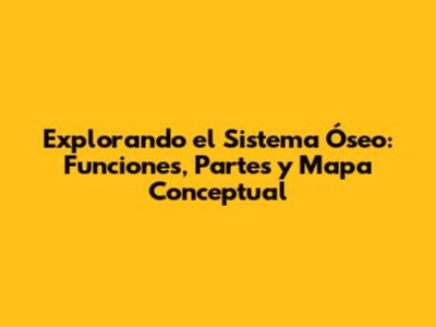 Explorando el Sistema Óseo: Funciones, Partes y Mapa Conceptual