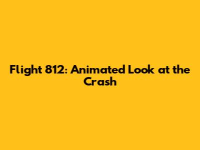 Flight 812: Animated Look at the Crash