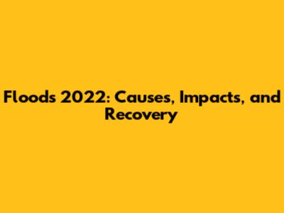Floods 2022: Causes, Impacts, and Recovery