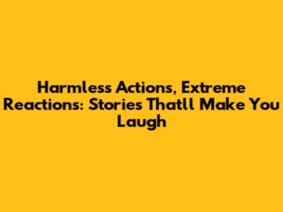 Harmless Actions, Extreme Reactions: Stories That'll Make You Laugh