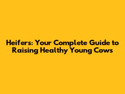 Heifers: Your Complete Guide to Raising Healthy Young Cows