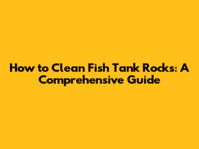 How to Clean Fish Tank Rocks: A Comprehensive Guide