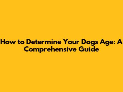 How to Determine Your Dog's Age: A Comprehensive Guide
