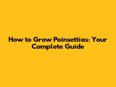How to Grow Poinsettias: Your Complete Guide