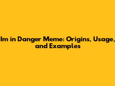 I'm in Danger Meme: Origins, Usage, and Examples