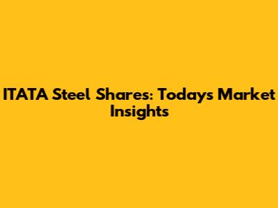 ITATA Steel Shares: Today's Market Insights