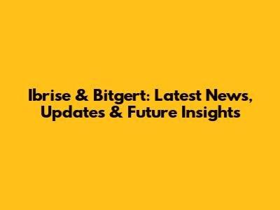 Ibrise & Bitgert: Latest News, Updates & Future Insights