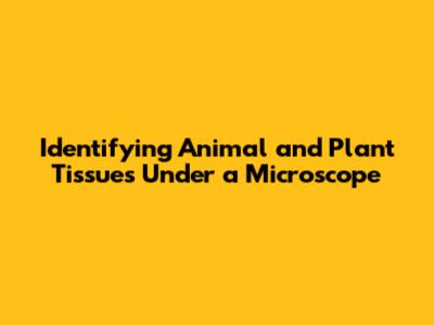 Identifying Animal and Plant Tissues Under a Microscope