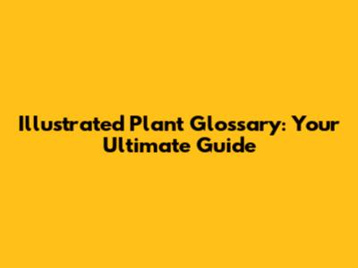 Illustrated Plant Glossary: Your Ultimate Guide