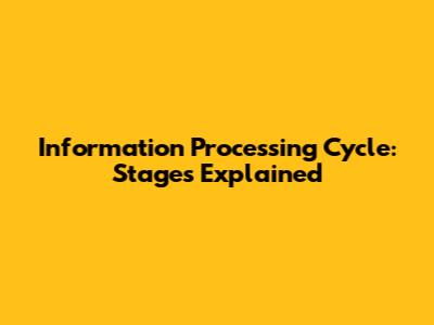 Information Processing Cycle: Stages Explained