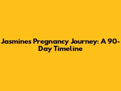 Jasmine's Pregnancy Journey: A 90-Day Timeline