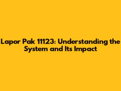 Lapor Pak 11123: Understanding the System and Its Impact