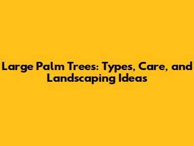 Large Palm Trees: Types, Care, and Landscaping Ideas