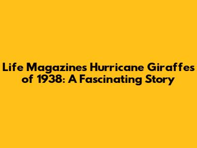 Life Magazine's Hurricane Giraffes of 1938: A Fascinating Story