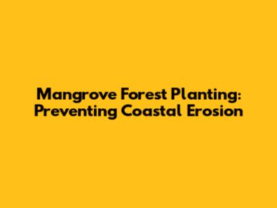 Mangrove Forest Planting: Preventing Coastal Erosion