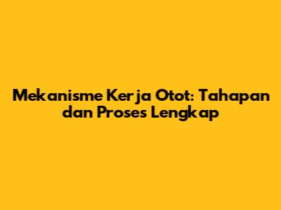 Mekanisme Kerja Otot: Tahapan dan Proses Lengkap