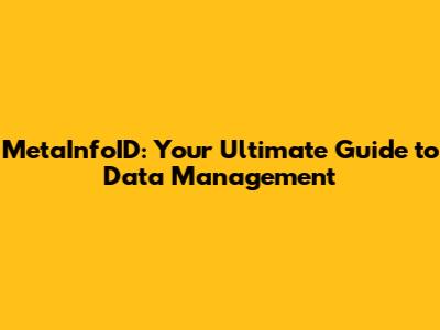 MetaInfoID: Your Ultimate Guide to Data Management