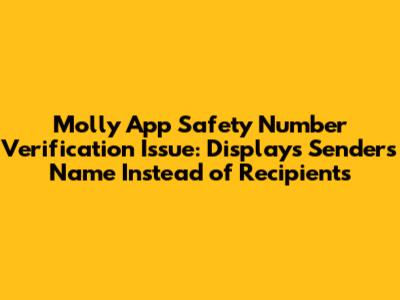 Molly App Safety Number Verification Issue: Displays Sender's Name Instead of Recipient's
