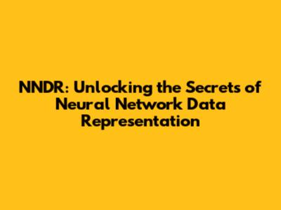 NNDR: Unlocking the Secrets of Neural Network Data Representation