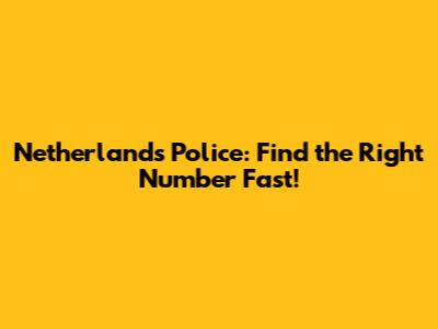 Netherlands Police: Find the Right Number Fast!