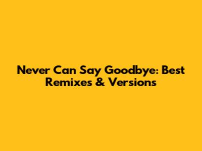 Never Can Say Goodbye: Best Remixes & Versions