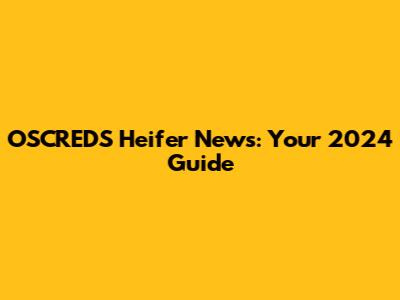 OSCREDS Heifer News: Your 2024 Guide