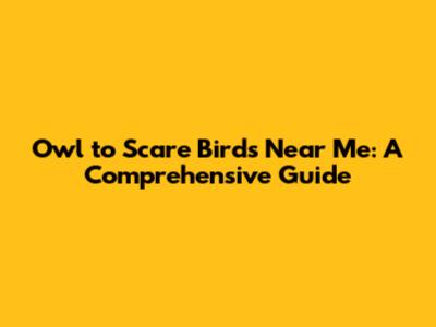 Owl to Scare Birds Near Me: A Comprehensive Guide