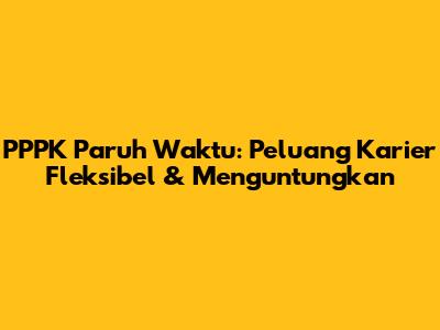 PPPK Paruh Waktu: Peluang Karier Fleksibel & Menguntungkan