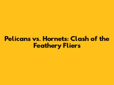 Pelicans vs. Hornets: Clash of the Feathery Fliers