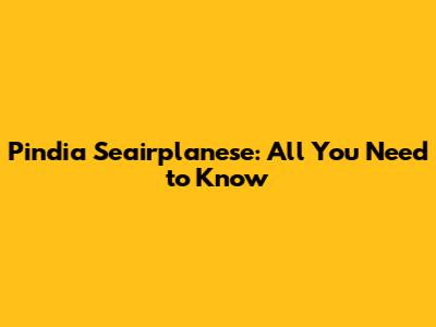 Pindia Seairplanese: All You Need to Know