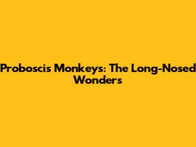 Proboscis Monkeys: The Long-Nosed Wonders