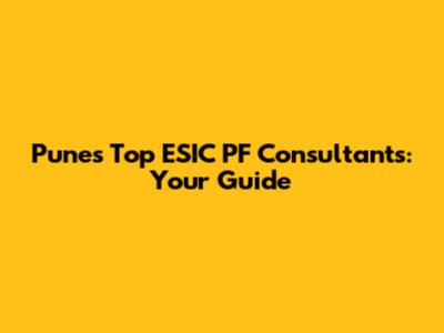 Pune's Top ESIC PF Consultants: Your Guide