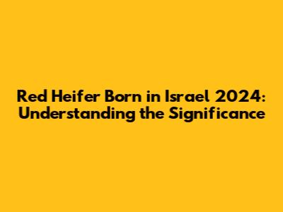 Red Heifer Born in Israel 2024: Understanding the Significance