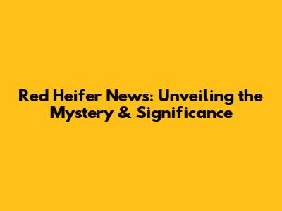 Red Heifer News: Unveiling the Mystery & Significance